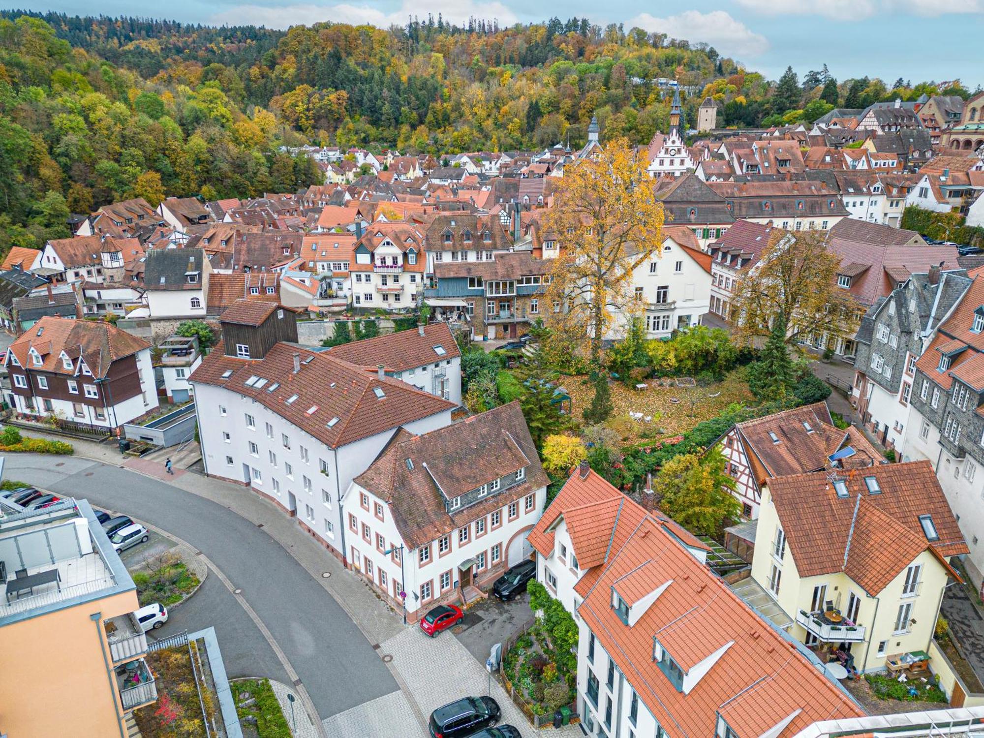 Lit Living Weinheim Altstadt - Boutique Apartments - Parking 外观 照片