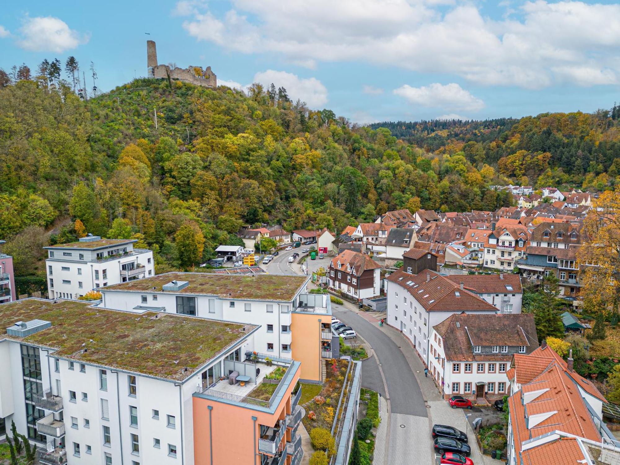 Lit Living Weinheim Altstadt - Boutique Apartments - Parking 外观 照片